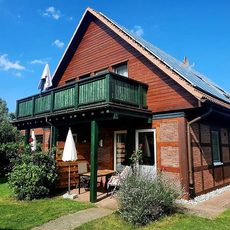 Ferienhaus Sasse Ferienwohnungen Mit Garten & Grill Molschow Ngoại thất bức ảnh