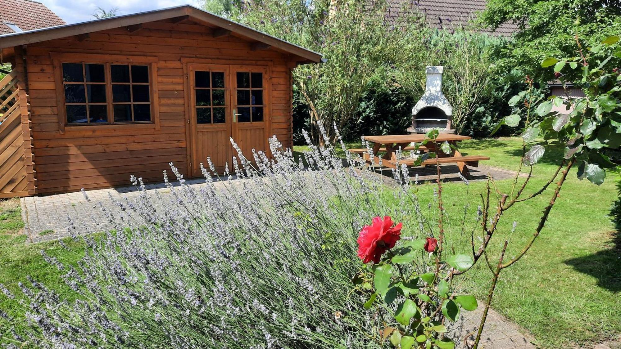 Ferienhaus Sasse Ferienwohnungen Mit Garten & Grill Molschow Ngoại thất bức ảnh